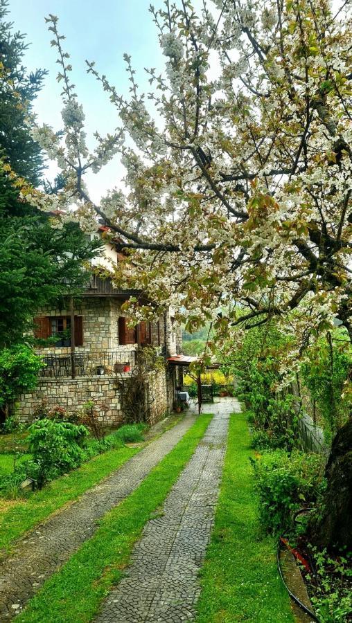 Guesthouse Odysseas Kerasea  エクステリア 写真